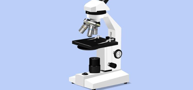 Best Digital Microscope For Coins